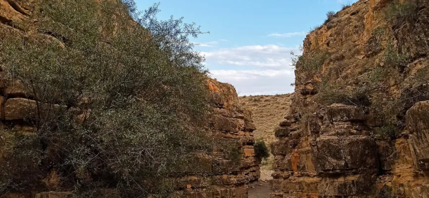 Հրեշտակների կիրճի նեղ անցումը Դաշտաքարի մոտ դեղնակարմիր ժայռերով