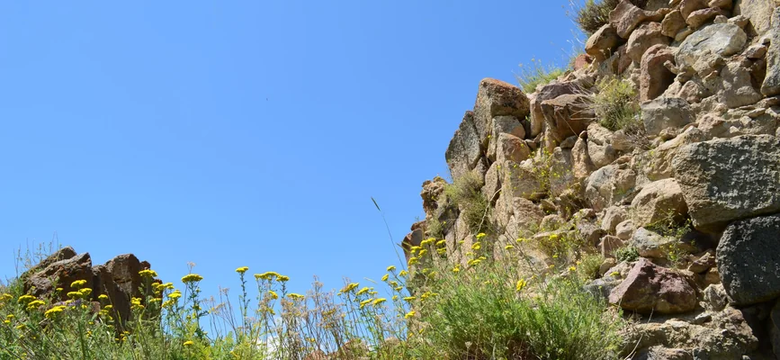 Stone wall and mountain flowers on the heritage route from Artabuynk