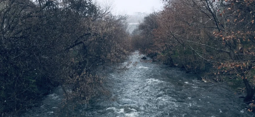 Հրազդան գետի հոսքը ծառածածկ կիրճում Երևանում