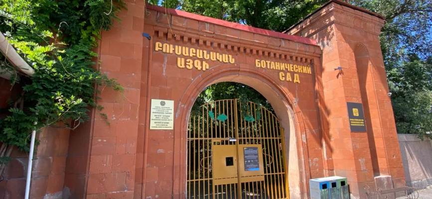 Երևանի բուսաբանական այգու գլխավոր մուտքն ու կանաչ ծառուղին