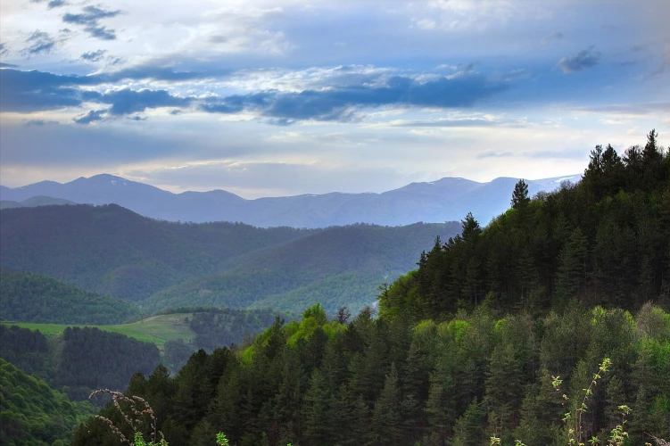 Դիլիջանի ազգային պարկ