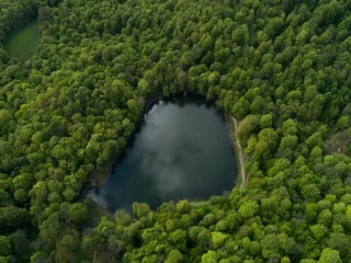 Gosh Lake