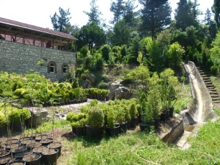 Ijevan Dendropark