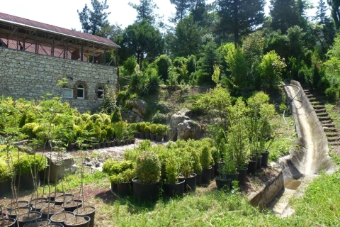 Ijevan Dendropark