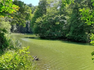 Lake Parz
